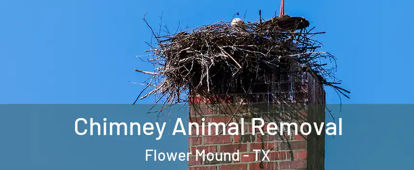 Chimney Animal Removal Flower Mound - TX