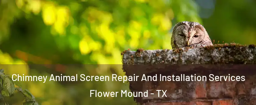  Chimney Animal Screen Repair And Installation Services Flower Mound - TX