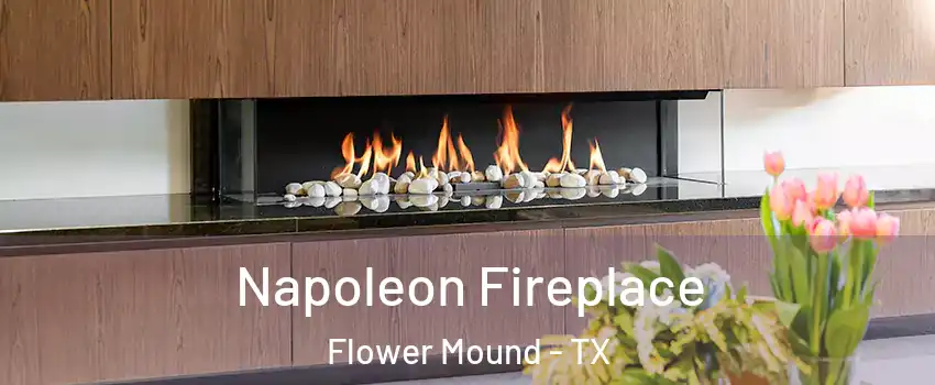  Napoleon Fireplace Flower Mound - TX